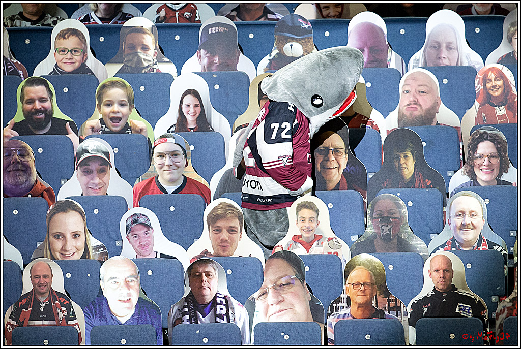 PENNY DEL;  Koelner Haie - Fischtown Pinguins Bremerhaven; Koeln, 12.02.2021